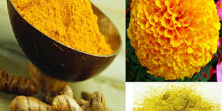 The Science of Colors: Holi Powders के रासायनिक पहलू