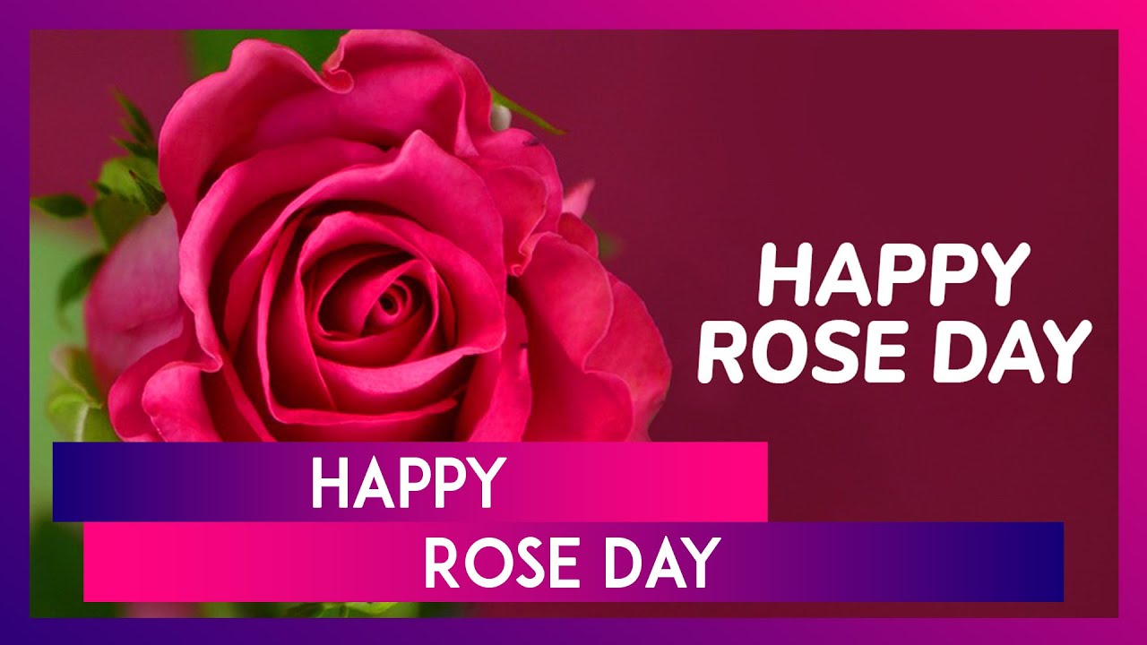 इस Rose Day Valentine Week टॉप 30+ शुभकामनाएं का मैसेज भेज कर करें सामने वालेको विश
